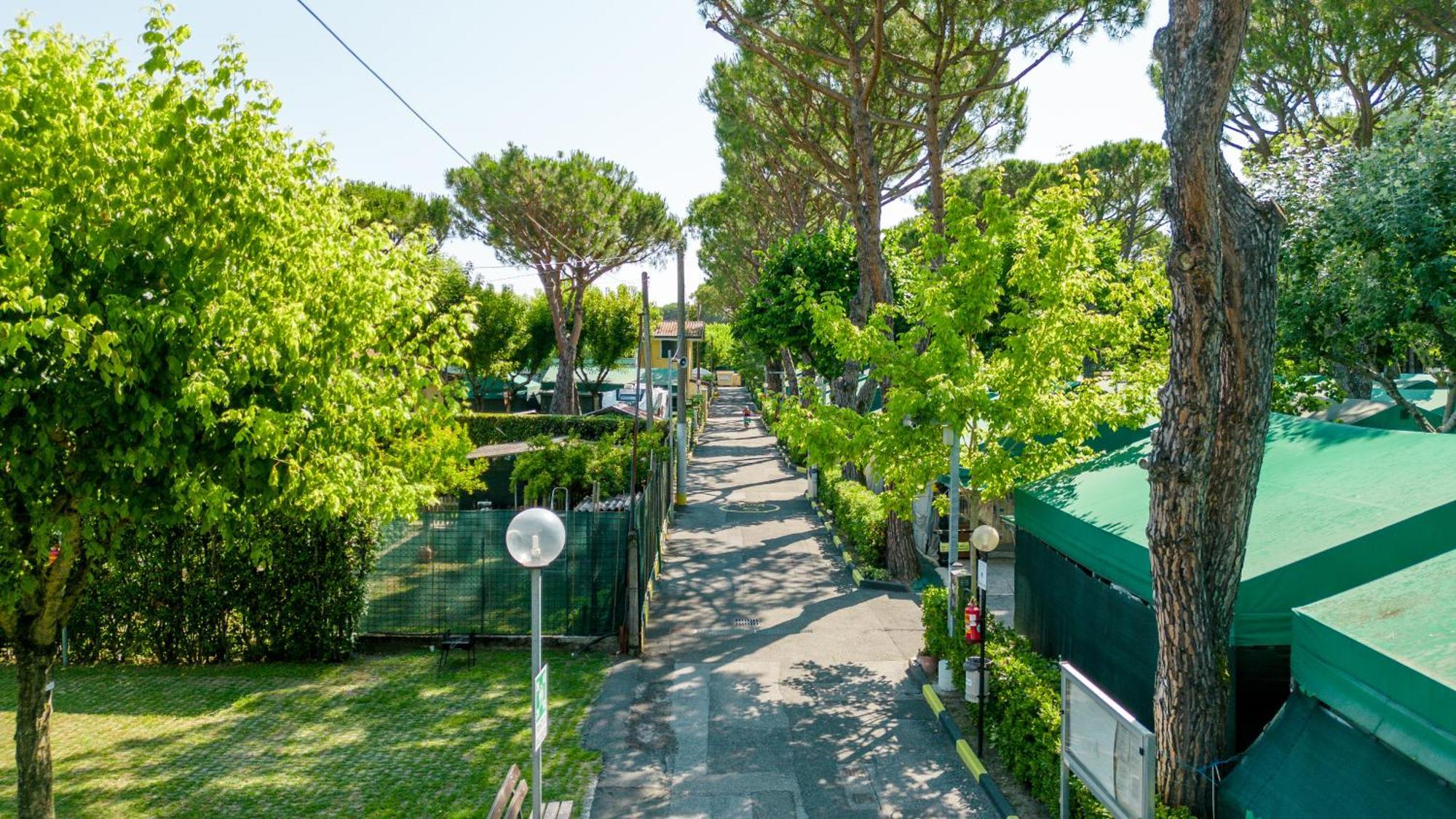 Camping Apuano Marina di Massa Eksteriør bilde
